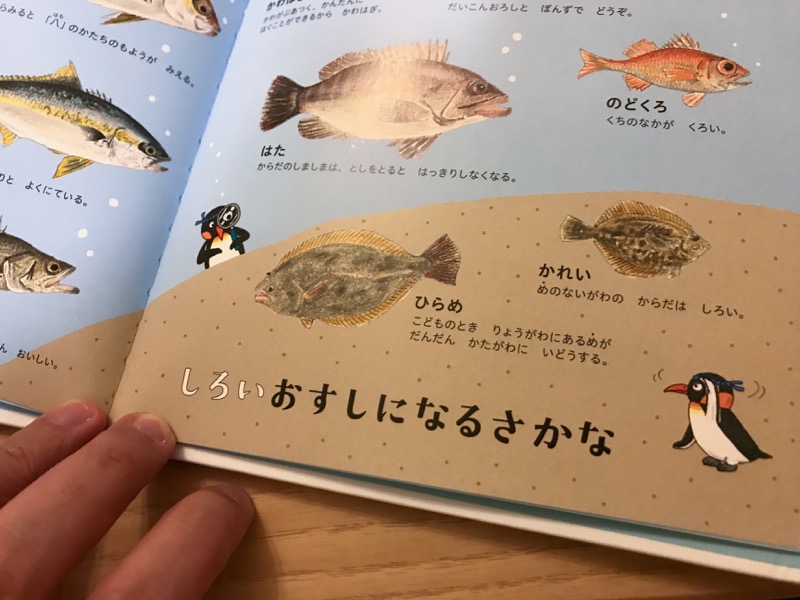 03.jpg