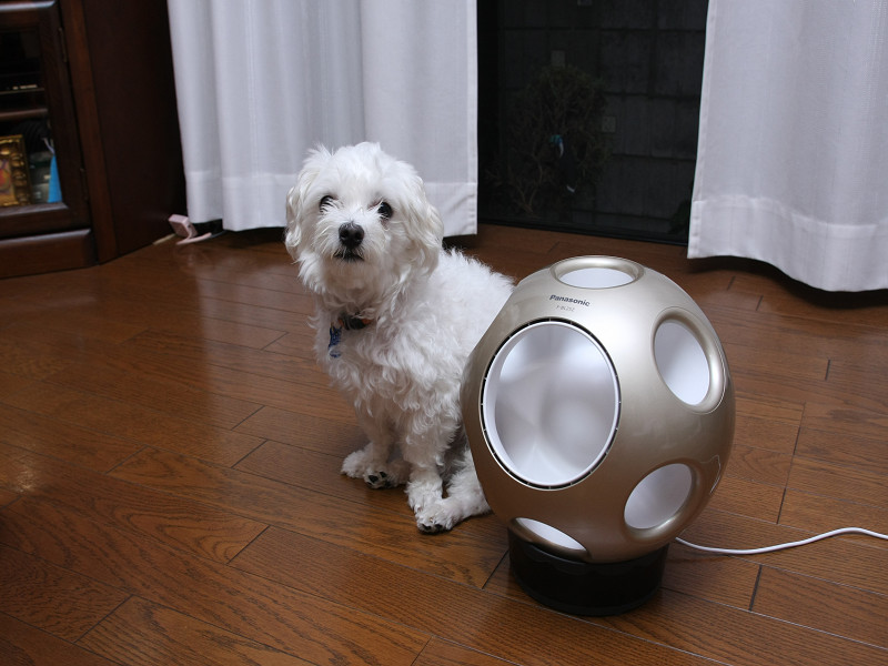 家電製品ミニレビュー】文系はオシャレさに! 理系はしくみにクビったけ 家電製品ミニレビュー】文系はオシャレさに! 理系はしくみにクビったけ