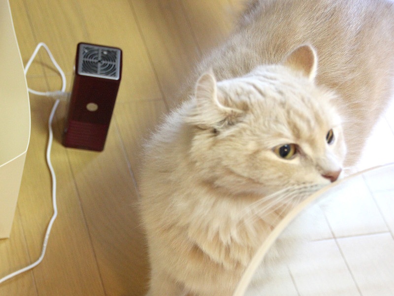 家電製品ミニレビュー】ペットのニオイに効果あり! オゾンで消臭する