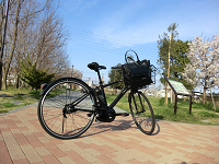 �p�i�\�j�b�N�u���r�G�C�g BE-ENHE78�v ����1