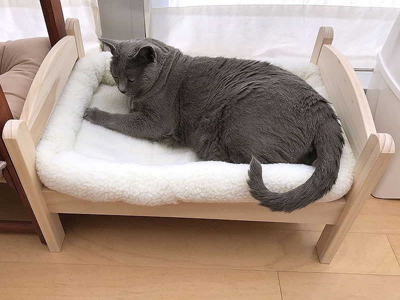 ダメかと思ったikeaの人形用ベッドの後日談 ぼくらの自由研究室 Watch Headline