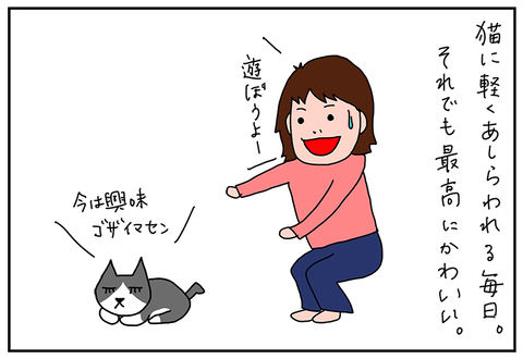 ぷーこの家電日記我が家に 猫が好きすぎる 猫がやってきた 家電 Watch