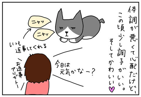 ぷーこの家電日記やっとで我が家に慣れた新入り猫達 ツンデレどころかデレデレになった 家電 Watch