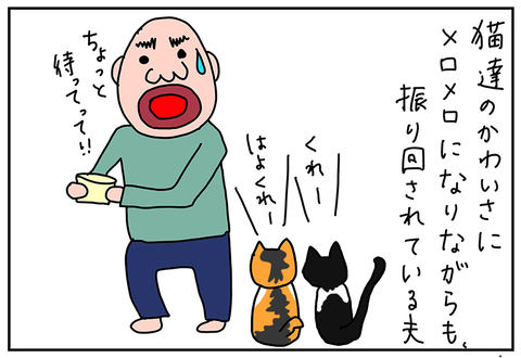 ぷーこの家電日記やっとで我が家に慣れた新入り猫達 ツンデレどころかデレデレになった 家電 Watch