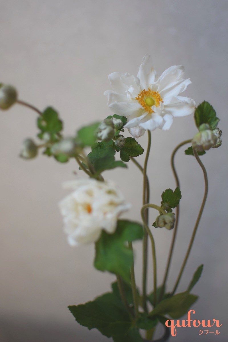 暮らし お花のある暮らし5 ススキと一緒に楽しむ お月見のフラワーアレンジ 家電 Watch