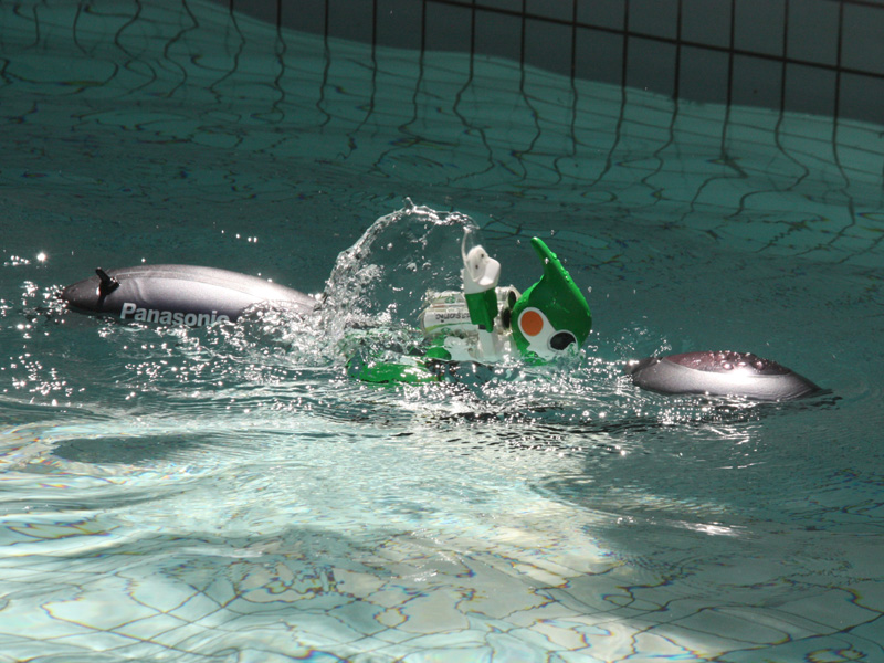 <font color="navy" size="2">泳いでいる最中の写真。きれいなクロールだ</font>