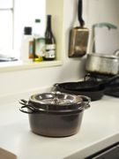 やじうまミニレビュー 究極の無水調理ができる 鋳物ホーロー鍋 バーミキュラ 家電 Watch