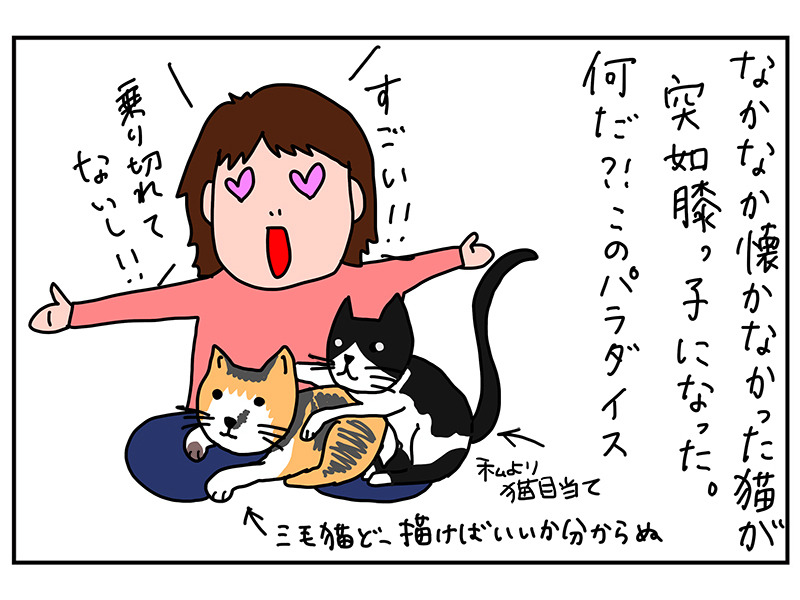 ぷーこの家電日記やっとで我が家に慣れた新入り猫達 ツンデレどころかデレデレになった 家電 Watch