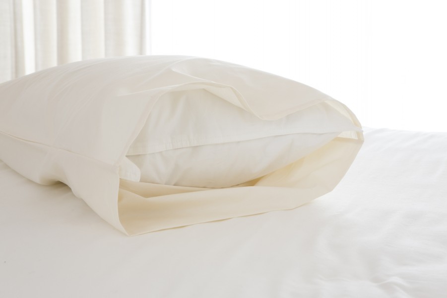 暮らし 快眠のお供 枕 枕カバーの交換頻度は 実際に枕を洗ってみよう 家電 Watch