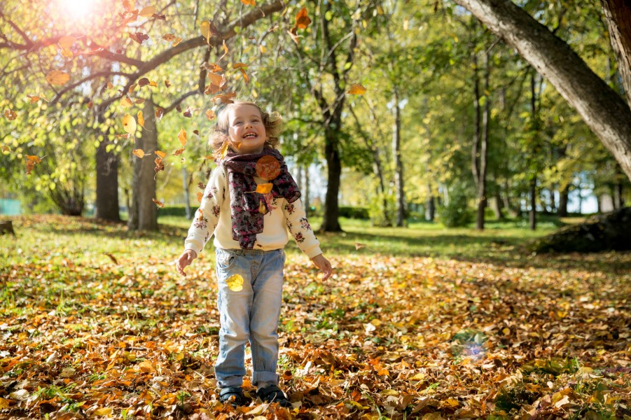 暮らし】保育士のアイデア、忙しいママこそ！子どもと一緒に「秋探し 