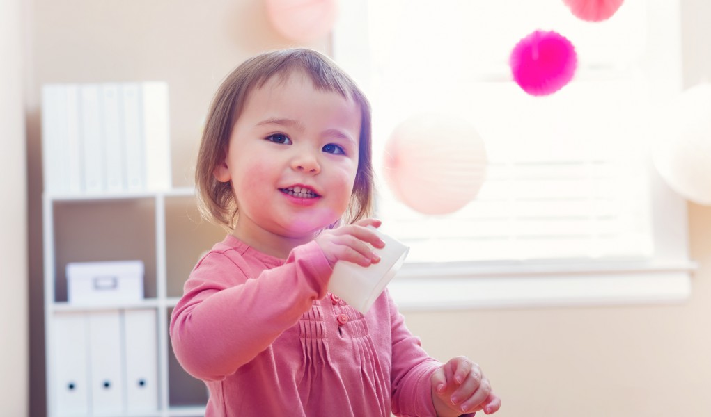 暮らし 現役保育士のアイデア 子どもが片付けたくなる おもちゃの与え方と収納 家電 Watch