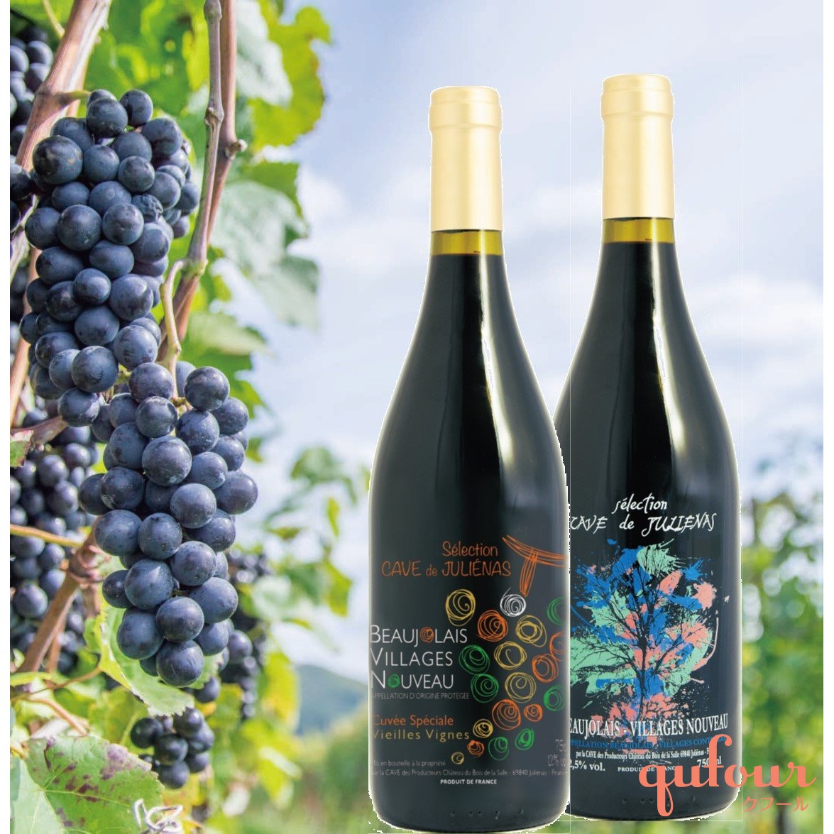 暮らし 成城石井 11 16解禁 ボジョレ ヌーボー の予約を開始 今年は6種類 家電 Watch