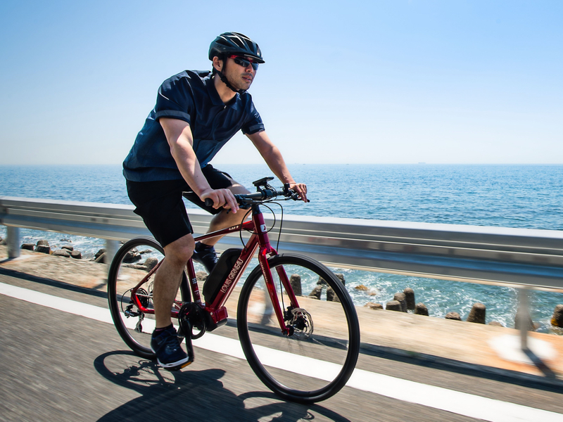 引き取り限定　LOUIS GARNEAU クロスバイク レッド 引き取り限定 LOUIS GARNEAU クロスバイク レッド 引き取り限定】LOUIS