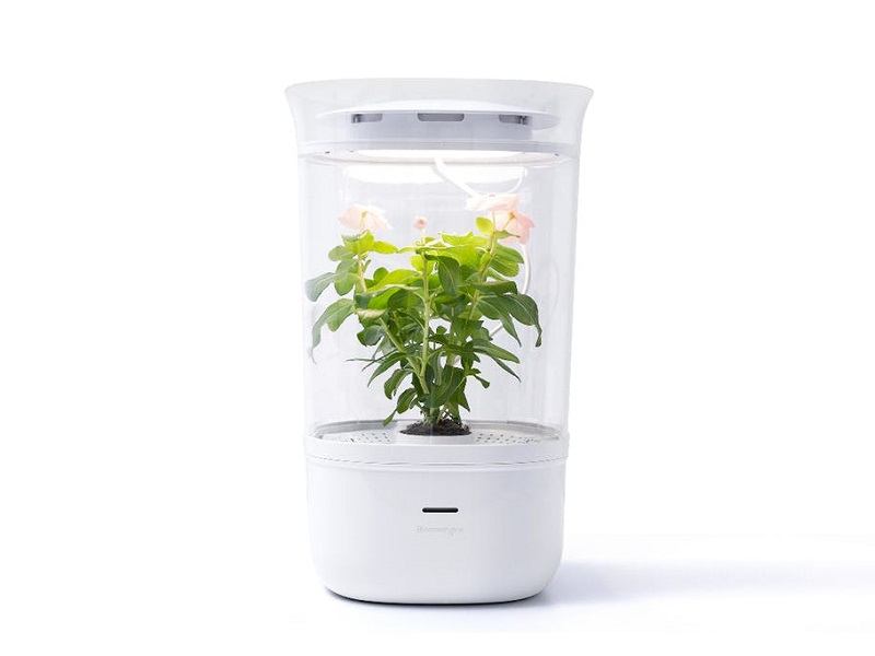 LED照明や自動給水システムで植物を自動で育ててくれる、卓上スマート