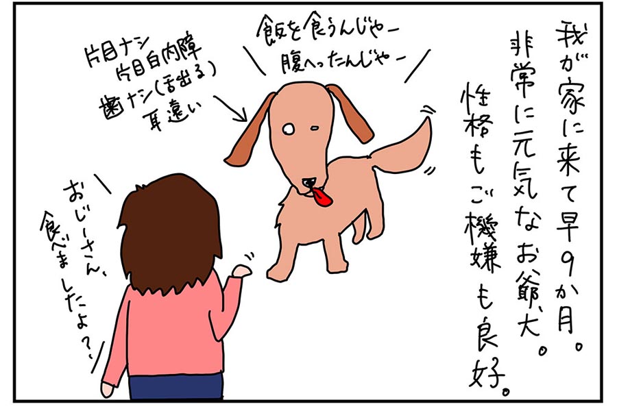 我が家の老犬 近状報告 ますます若返ってきたよ ぷーこの家電日記 家電 Watch