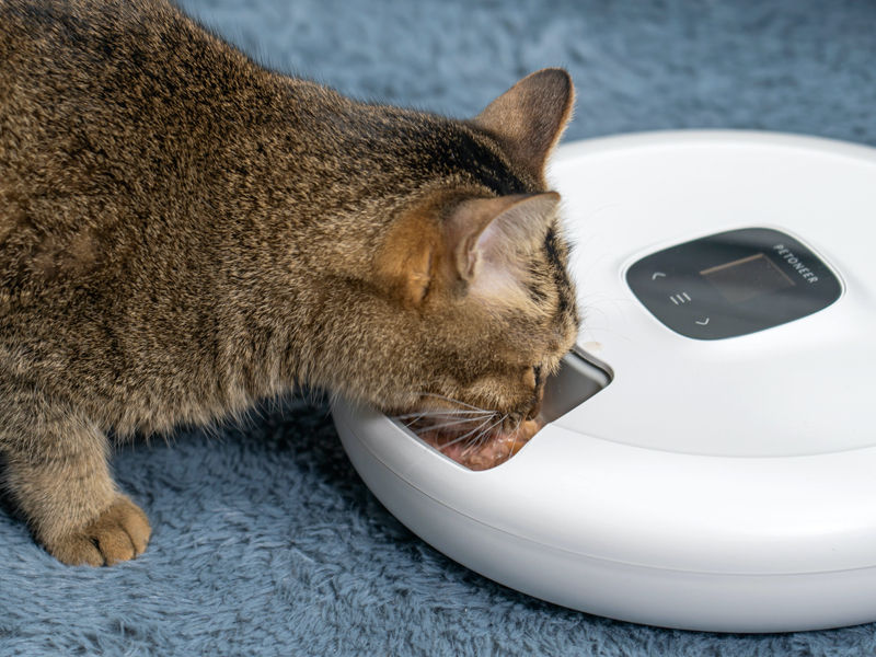 留守中のペットにも自動でごはん ドライ ウェットフード対応のスマート給餌器 家電 Watch