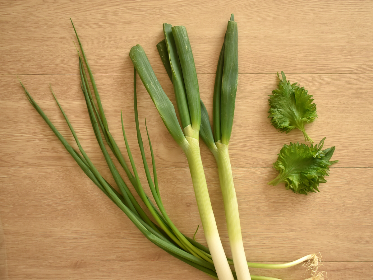 薬味を長持ちさせて使い勝手もアップ ネギ 青じそ編 食品の保存 美味しく 手抜き クッキング 家電 Watch