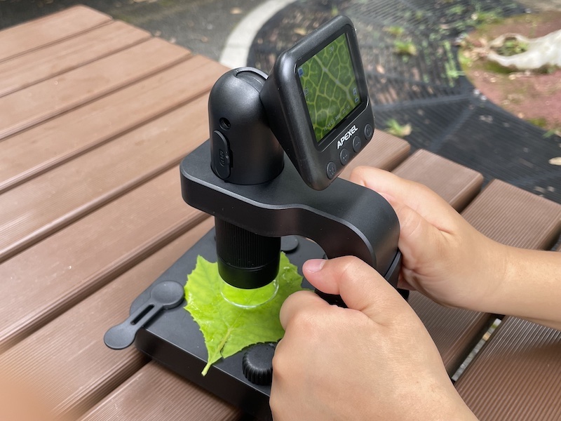 どこでもミクロの世界が覗ける、デジタル顕微鏡がおもしろい!【家電