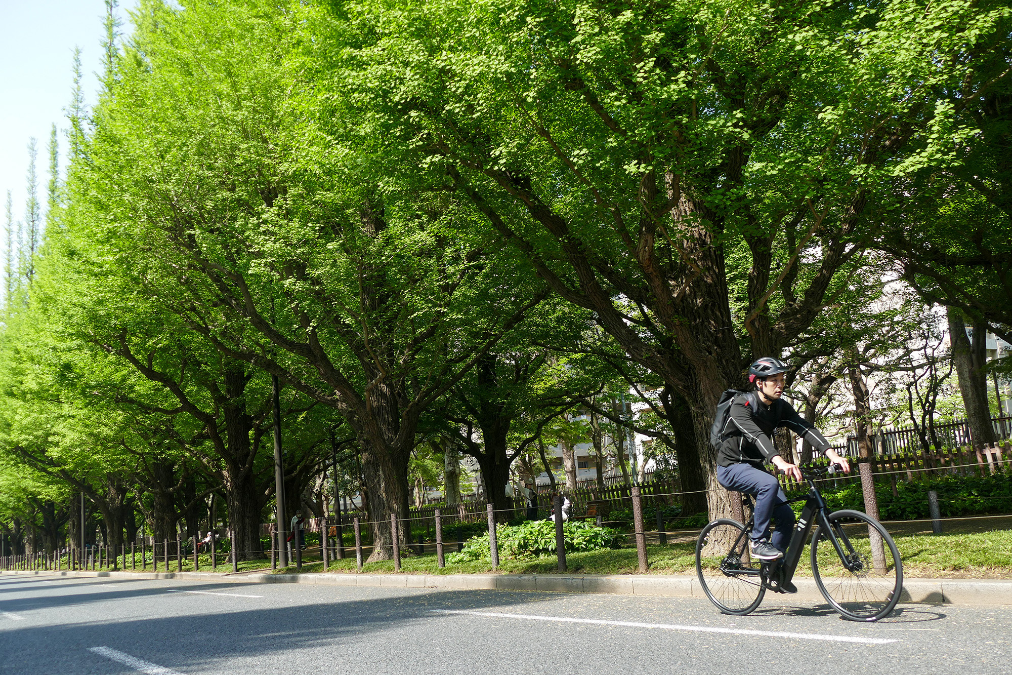 e-bikeとシングルスピードの相性は良好! 初心者にぴったりのクロス