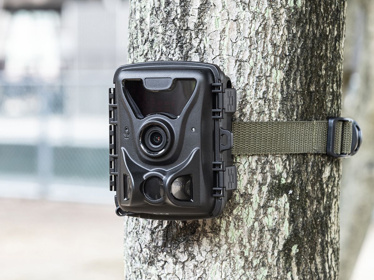 単三電池で動く防犯カメラ。夜間撮影もできて防水防塵 - 家電 Watch