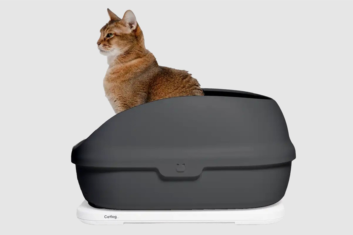 人気デザイナー Catlogboard キャットログボード トイレの下に置く猫の