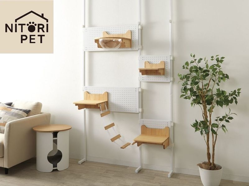 Nitori’s Wall Catwalk: Easy to Install and Rearrange, Perfect for Rental Homes – Available from Jan 15th