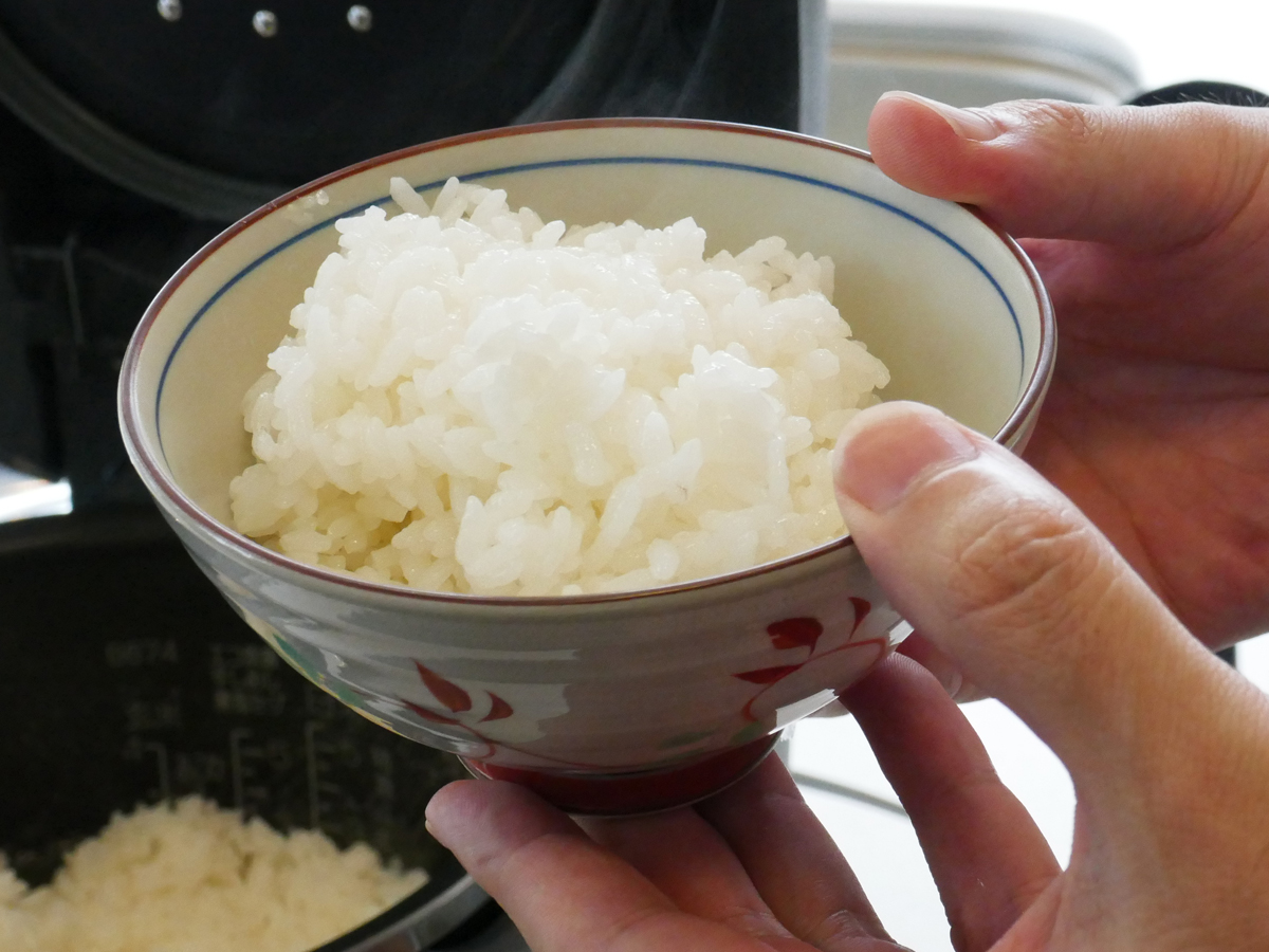 新米 ササニシキ 1等米 24ｋｇ お米 白米 希少米｜食品・飲料・酒