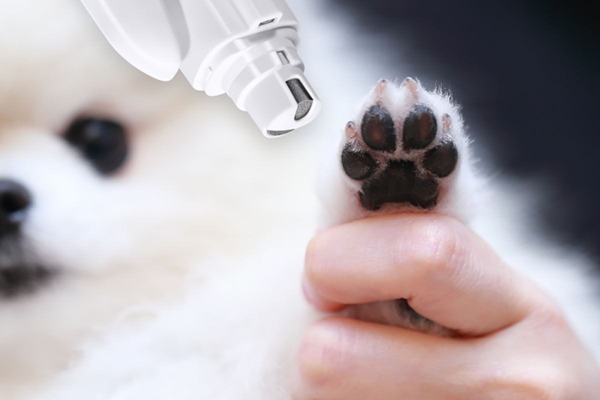 Paw-fectly Polished: Sanko's Innovative Dog and Cat Nail Clippers with LED Light and Electric File - News Directory 3