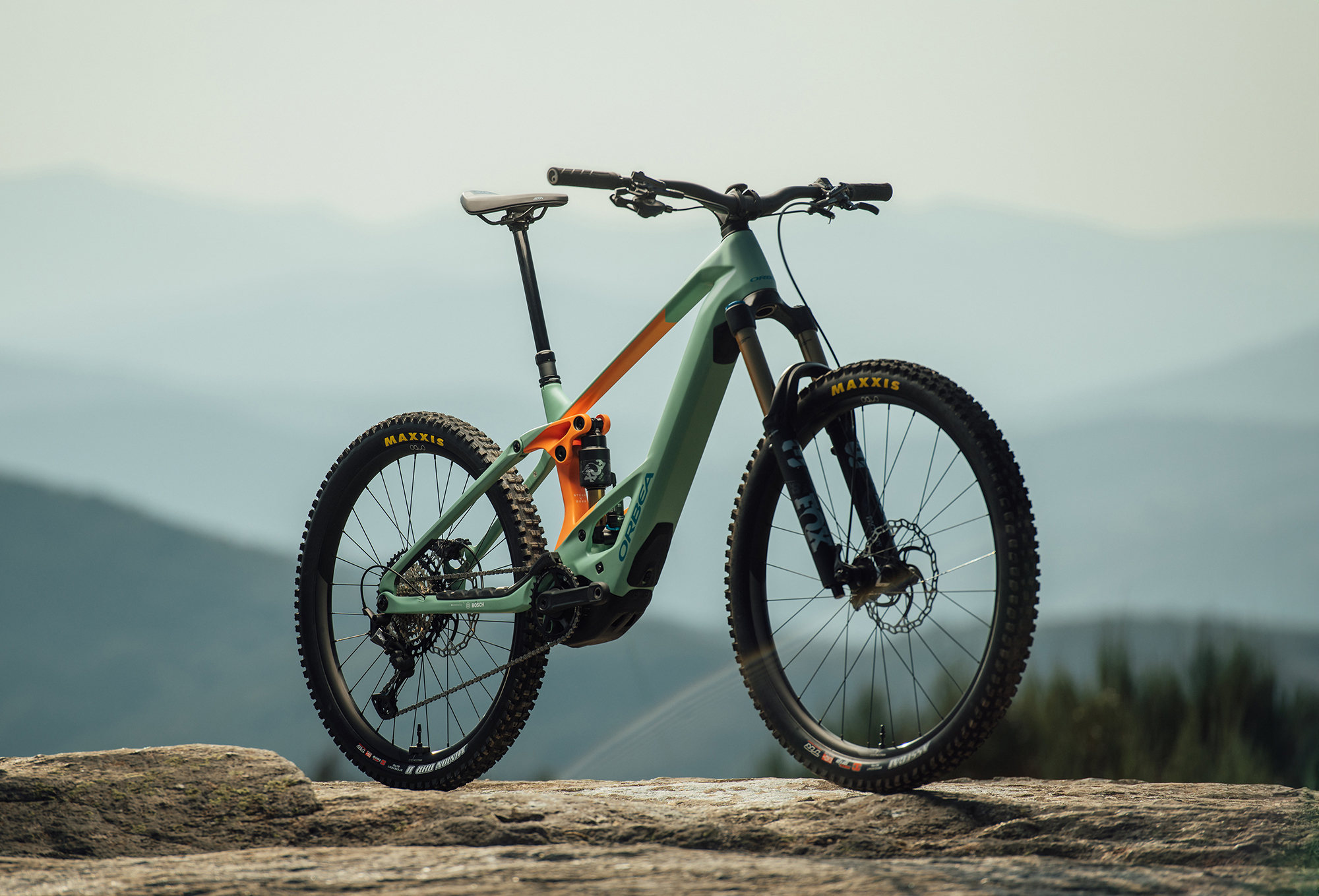 The Orbea WILD M-LTD In our huge Best e-mountainbike of 2023 group test