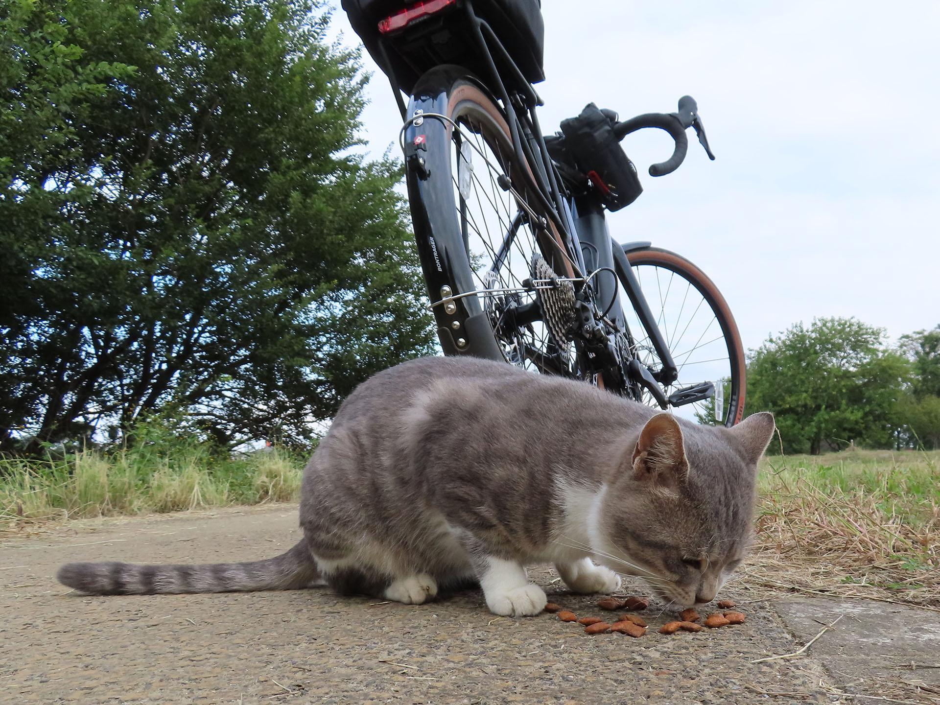 つぼ自転車 zx05.jpg