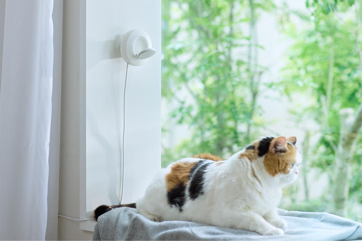 LIXILから猫の健康わかる家電 触れないから負担なし - 家電 Watch