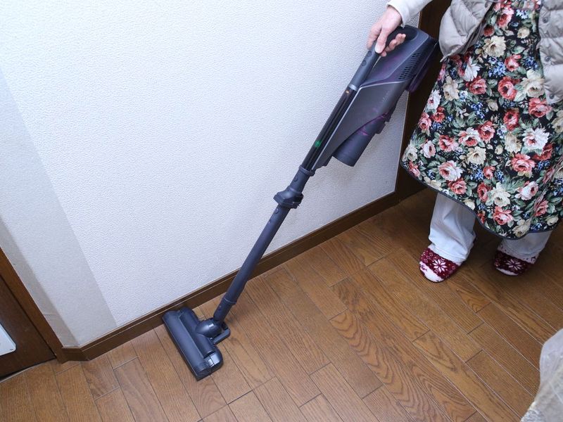 東芝が掃除機の「毛がらみ」克服 メンテ楽で使いやすかった【家電